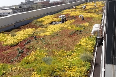 Design ideas for a mid-sized rooftop garden in San Francisco.