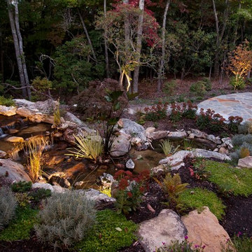 Piney Knoll Paradise
