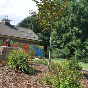 Redbud Tree