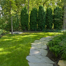 Greensboro backyard