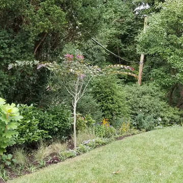 Haverford Residence