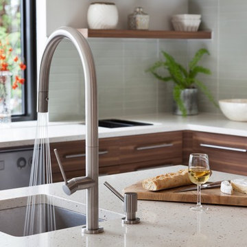 Kitchen Faucet w/ Pull down Spray
