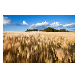 Douglas Page Photographic Arts - Wheat Field, Art, Canvas Giclee, 24"x16" - Prints And Posters