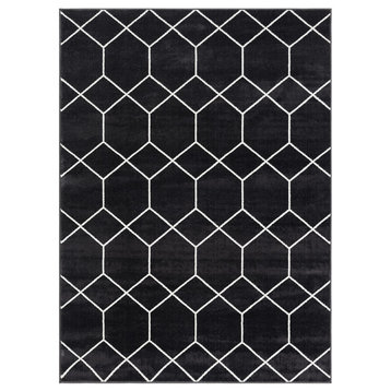 Madison Park Averie Modern Geometric Woven Area Rug, Black, 3x5 Scatter