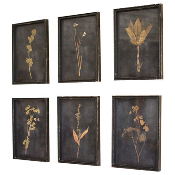 Botanical Prints Under Glass, Set of 6