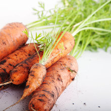 GARDEN: Vegetables