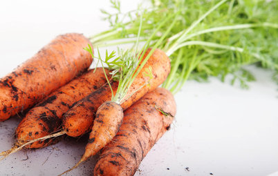Un huerto en casa: Cómo cultivar zanahorias en el jardín