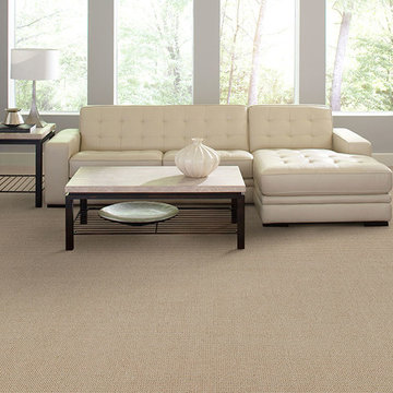 Dabbieri Collection