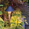 Hinkley Landscape Hardy Island 20 Watt Path Light