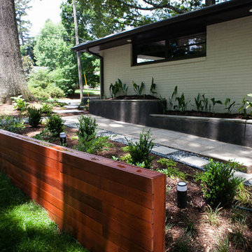 Modern and dog-friendly landscape