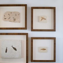 Displaying Objects & Collections