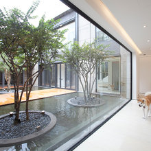 Dog Woods Hallway Ideas