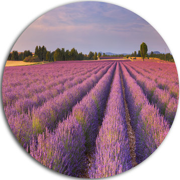 Lavender Flower Rows In France, Landscape Disc Metal Artwork, 23"