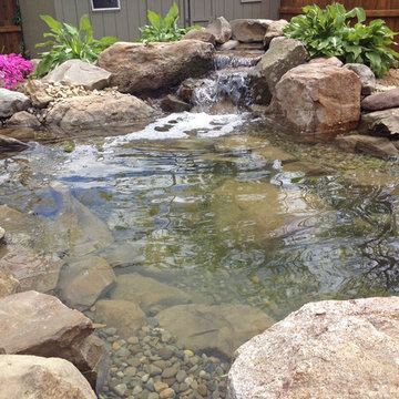 Backyard Fish Pond Installation