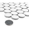 Hudson Penny Round Matte White Porcelain Floor and Wall Tile