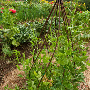 The Complete Kitchen Garden Designs