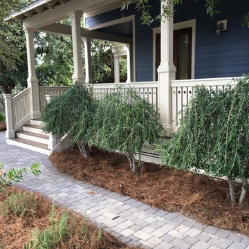 My Projects