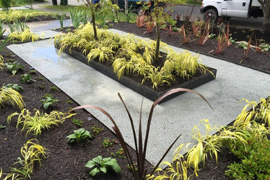 Design ideas for a craftsman landscaping in Seattle.