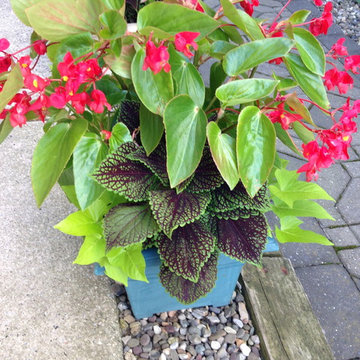 Container Gardens