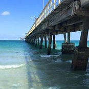 Susan Duncan's photo