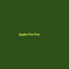 Apopka Tree Pros