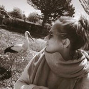 Harmony Doumonts foto