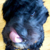 D. Hunt's photo