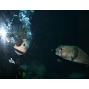 Teri Sclafani's photo