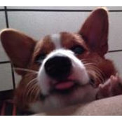 Judy Beaulieu's photo