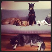 Tammy Santos's photo