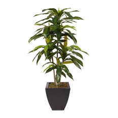 4ft Real Touch Dracaena Massangeana Tree in a Contemporary Metal Pot