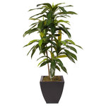 Jenny Silks - 4ft Real Touch Dracaena Massangeana Tree in a Contemporary Metal Pot - 4ft Real Touch Dracaena Massangeana Tree in a Contemporary Metal Pot