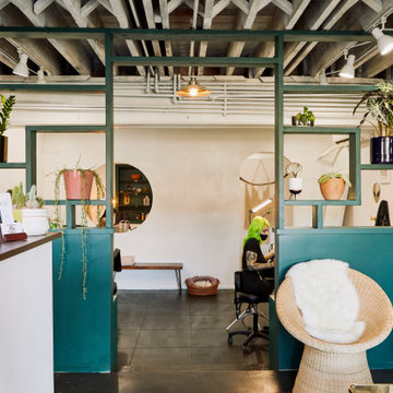 Fiction - Cosmetic Tattooing Salon