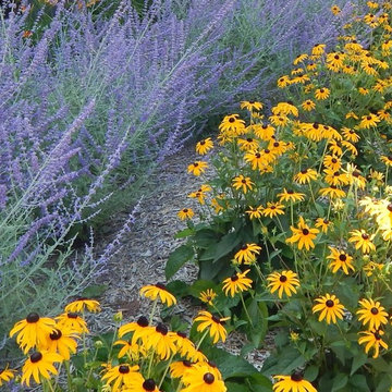 Our Landscape Design