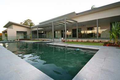 Design ideas for a modern pool in Brisbane.