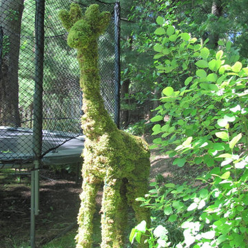 Containers, Topiaries & Sculptures