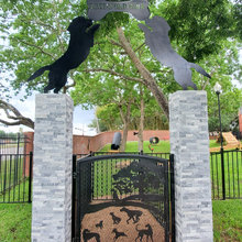 dog park
