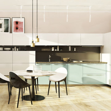 Condo Renovation, Nun's Island, Montreal