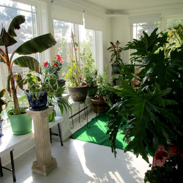 Tropical Patio Garden