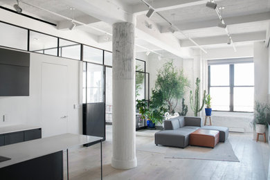 Example of a mid-sized minimalist loft-style and formal painted wood floor and white floor living room design in New York with white walls