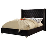 Meridian Furniture - Ames Velvet Bed, Black, Full - Elegant and eye-catching, the stunning Aiden Bed from Meridian Furniture is the perfect addition to any bedroom. Rich velvet covers the deep tufted design. A beautiful wing bed design is complimented by hand applied chrome nail head details. Strength and beauty is guaranteed with a solid wood frame and stainless steel legs.