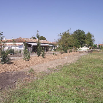 Création De Jardin