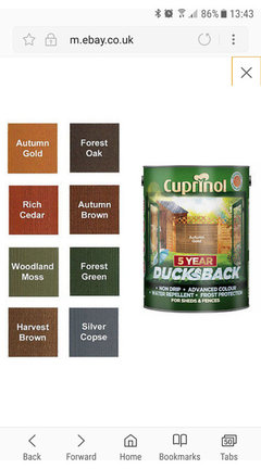 Help Can T Decide On Fence Paint Colour Houzz Uk