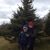 Julie Armento's photo