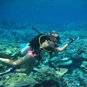 Silvia Beurmann's photo
