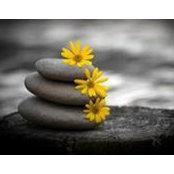 Christell Benson's photo