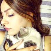 Azadeh Saneei's photo