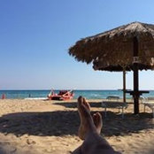 Alberto Barbagallo's photo