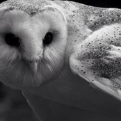 Denise Harbin's photo