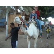 Yasser Farid's photo